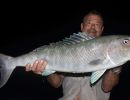blagron snapper