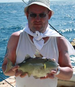 blastribet aftraekkerfisk
