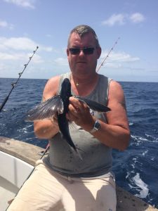 flyvefisk