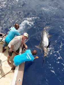 marlin blue