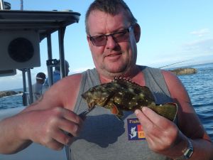 starrygrouper